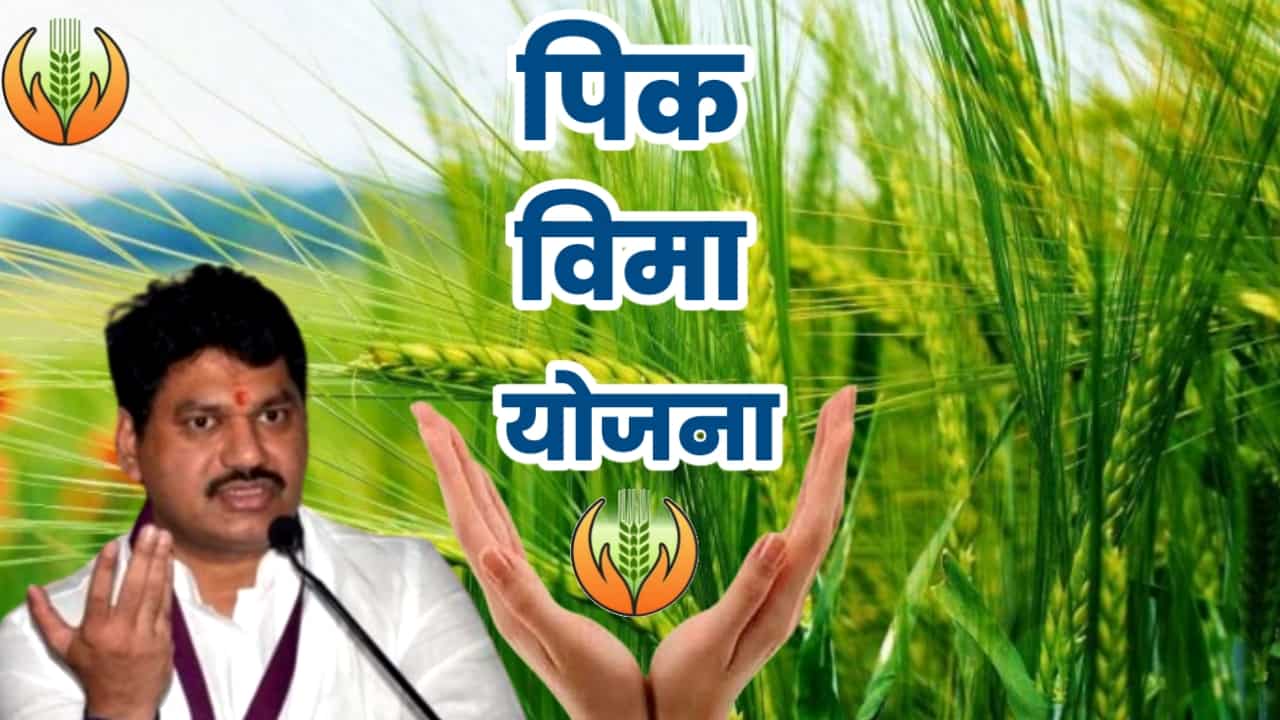 crop insurance Maharashtra