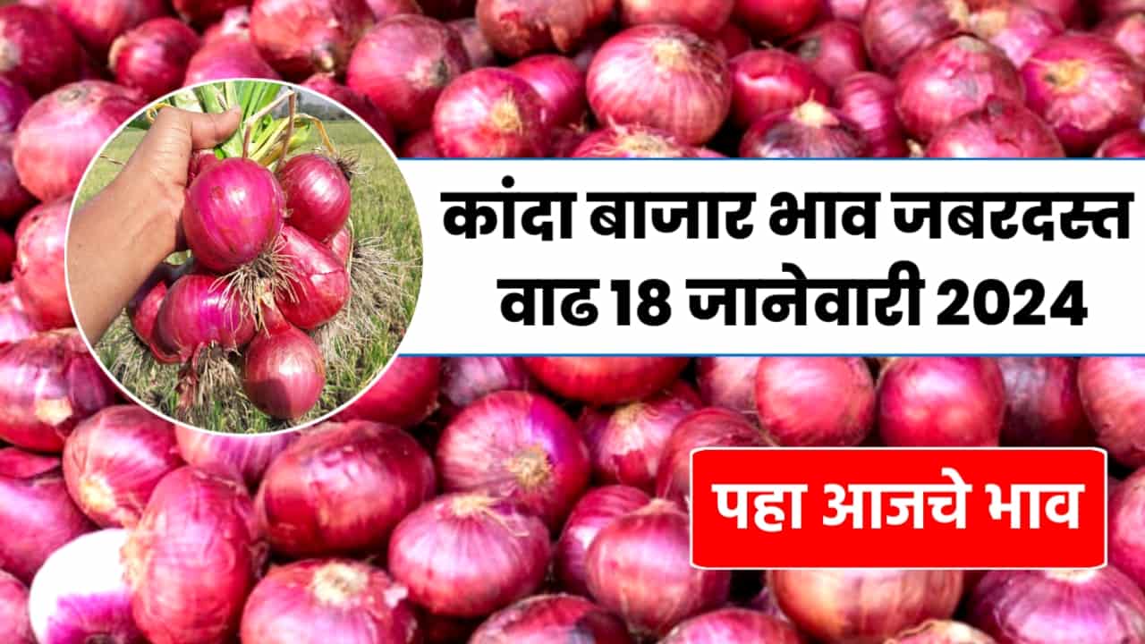 Onion earning price